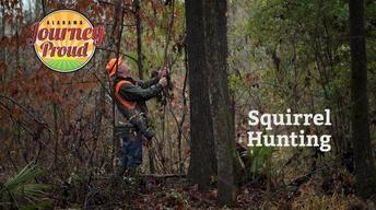 Squirrel Hunting
