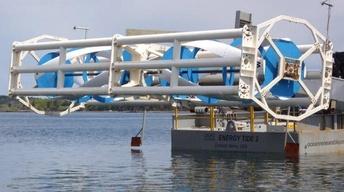 Tidal Power / Pet Population Control