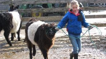Winter Farming Boosts Rural Maine Economy