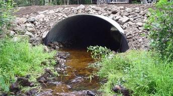 Genetically Modified Food / Fish Passages