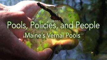 Pools, Policies and People image