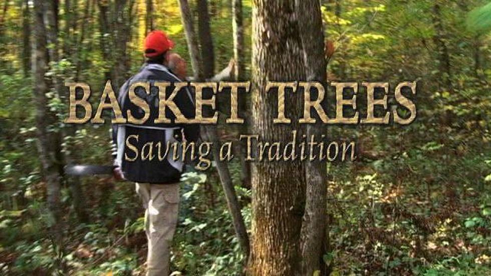 Basket Trees - Saving a Tradition image