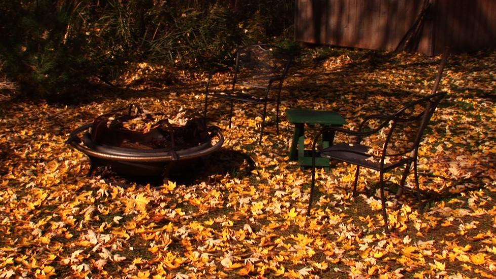 Roadside Adventures - Autumn Tome image