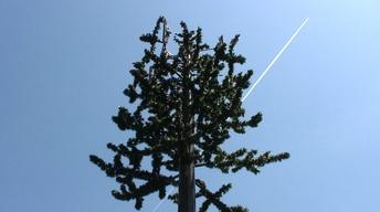 May 31, 2012 image