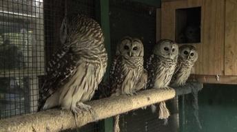 Wilmington Wildlife Refuge/The Saint James Hotel