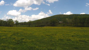 Discover the Upper Cumberland 111