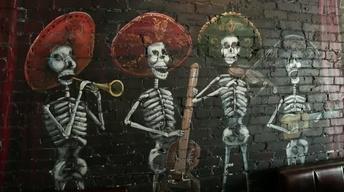 334: Dunedin Murals