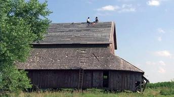 114: Art Farm