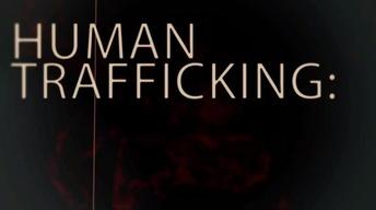 Human Trafficking: Report It