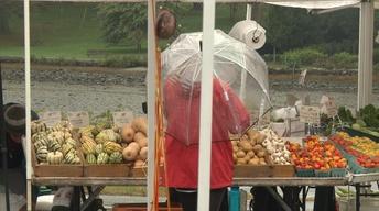 UNH-COLSA/Tuttle series | Summer Farmers Markets image