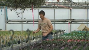 UNH-COLSA/Tuttle series | Green Opportunity | Doug Cole
