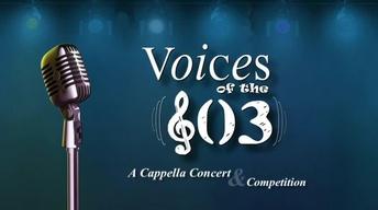 Voices of the (603)