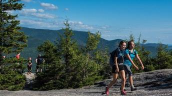 Thrive Outdoors (Preview)