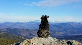 In The Footsteps of Atticus (Preview)