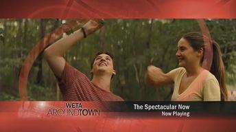 The Spectacular Now image
