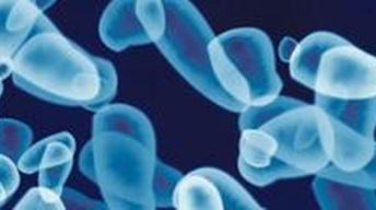 Food Pathogens image