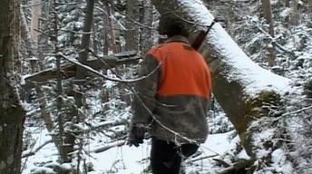 Tracking Deer, Banding Woodcock, Ropes Course image