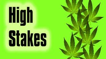 Oct. 3, 2012: Medical Marijuana Debate image