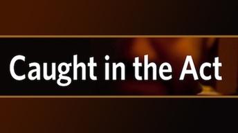 Nov. 8, 2012: Caught In The Act image