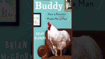 Dec. 12, 2012: "Buddy" image