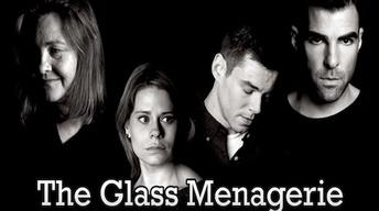 Feb. 13, 2013: Glass Menagerie image