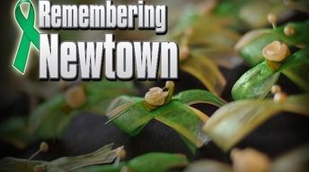March 25, 2013: Newtown in Boston image
