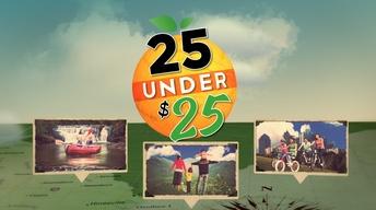 25 under $25