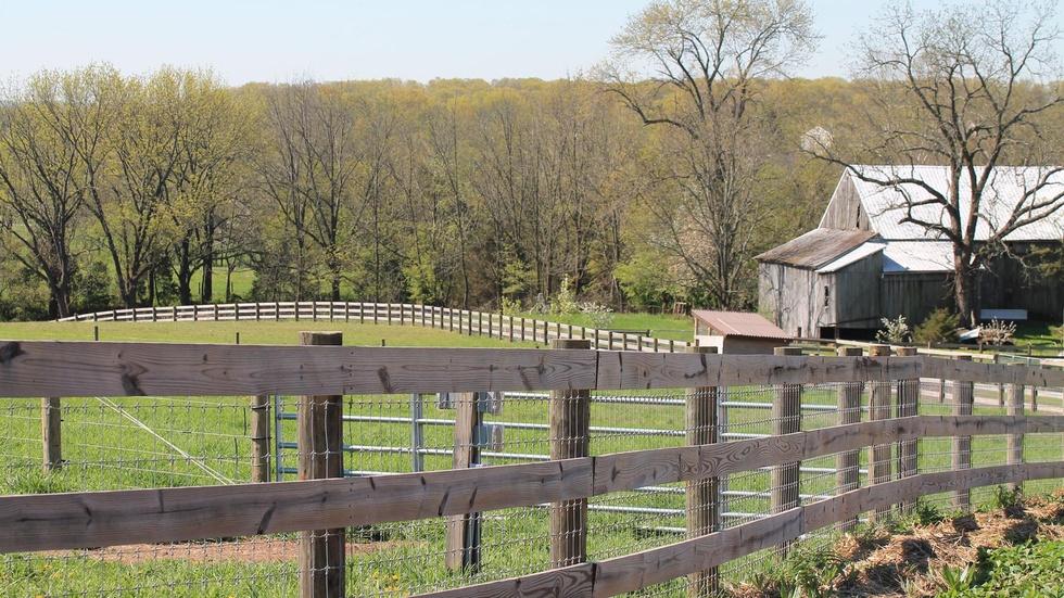 Quarry Hill Farm, Harvesting Health image