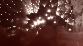 2013 YMA's: Heavens image