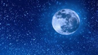 The Importance of Sleep
