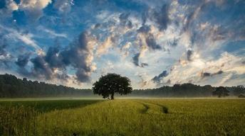 Finding Peace