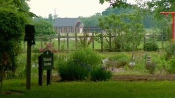 Grasshoppers, Nature Center, GE Foundation, Farnsley-Moremen