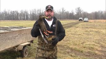Bass Fishing, Trappers, and Ducks
