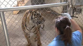 Louisville Zoo-Part Two and More!