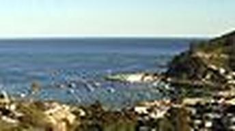 Cast Off for Catalina image