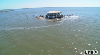 Louisiana: The State We're In - 1/6/17
