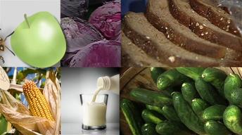 From Farm to Table Harvest Special image