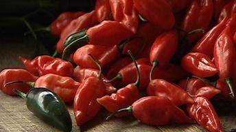 Peppers Pack a Punch image