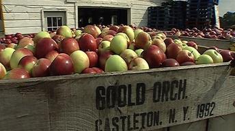 It's Cider Time! image