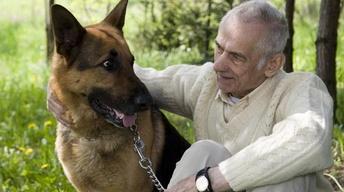 Can Animals Improve Your Health?