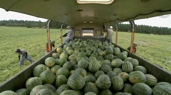 Maryland Farm & Harvest 107 image