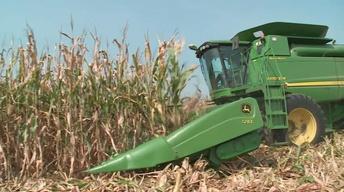 Maryland Farm & Harvest 109 image