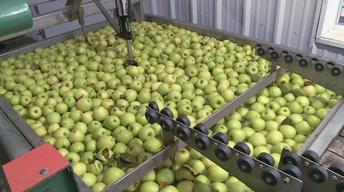 Maryland Farm & Harvest 111 image