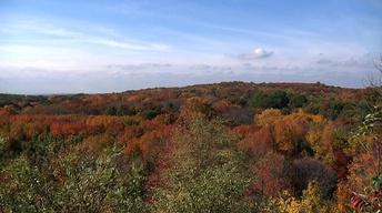 Staten Island Greenbelt