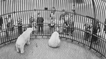 NYC-ARTS Curator's Choice: Roman Vishniac Rediscovered