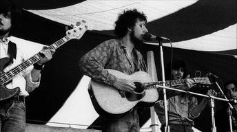 David Bromberg Unsung Treasure image