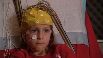 The Brain in Action image