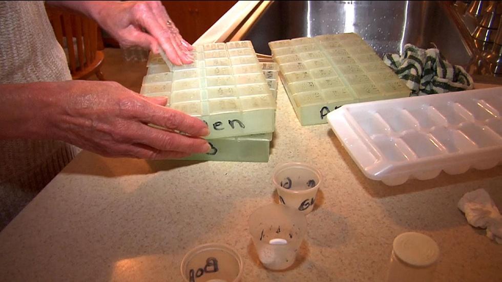 Adult Family Care Program Gets Seniors Out of Nursing Homes image