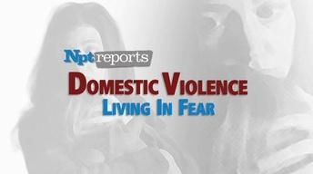 Domestic Violence | NPT Reports