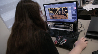 To Bee or Not to Bee: Girls in Digital Animation